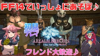 【FF14配信】一緒にあそぼo(^▽^)o♥新人Vtuberファイナルファンタジー14／FINALFANTASYXIV ドラクエ10