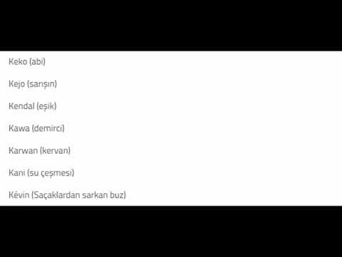 Kurtce Kopek Ismi Mp4 3gp Flv Mp3 Video Indir Kurtce Kopek Ismi Mp4 3gp Flv Mp3 Video Indir