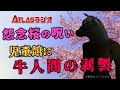 ATLASラジオ2nd 94 怨念桜の呪い判明！広島の児童館に牛人間の剥製中国のミサイルが日本に着弾！？