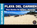 😍 Playas Sin #SARGAZO !!!  Así se encuentra Playa del Carmen hoy 🌊