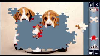 This Puppy Puzzle Will Melt Your Heart! ❤️🐶 | Beagle Jigsaw Puzzle Walkthrough screenshot 3