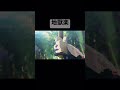 【地獄楽】地獄楽最高地獄楽最高地獄楽最高#アニメ化 #アニメ #地獄楽 #shorts #short