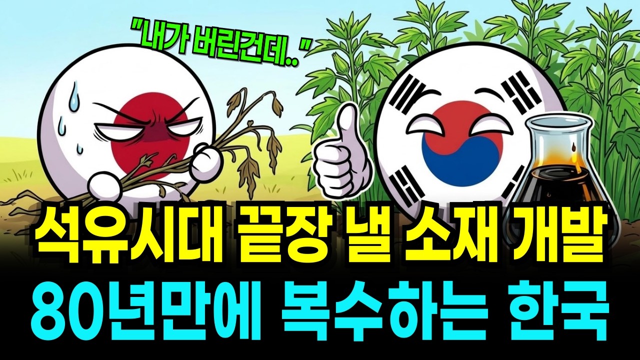"석유 대신 이걸 씁니다" 한국이 80년 만에 양산 성공한 '이것'의 정체