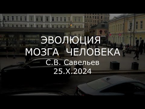 С.В. Савельев - Эволюция мозга человека