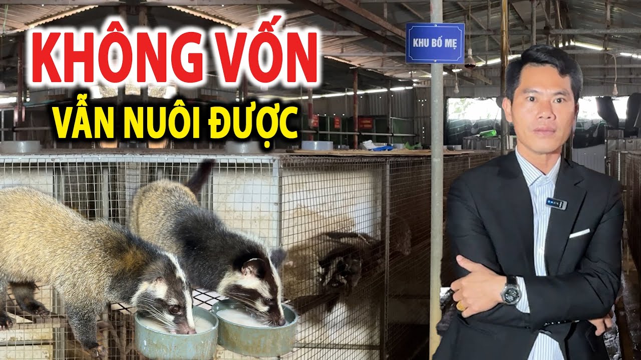 Không vốn vẫn nuôi được – Mô hình chăn nuôi đang giúp nhiều bà con đổi đời