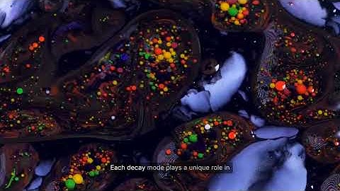 Understanding Radioactive  decay 