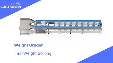 Dual-Lane Weight Grader Revolutionizes Fish Sorting!