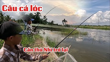 Câu cá lóc // 2 môn kết hợp (tập 224)#huukhuynhkiengiang