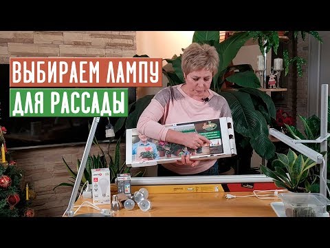 СЕКРЕТЫ ПОДСВЕТКИ РАССАДЫ Как правильно выбрать лампу? / Садовый гид