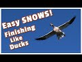 Best Snow Goose Hunt in 33 years! | High Quality