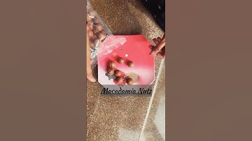 First Time Trying Macadamia Nuts…Tastes LIKE White Chocolate?! 😲 #shorts