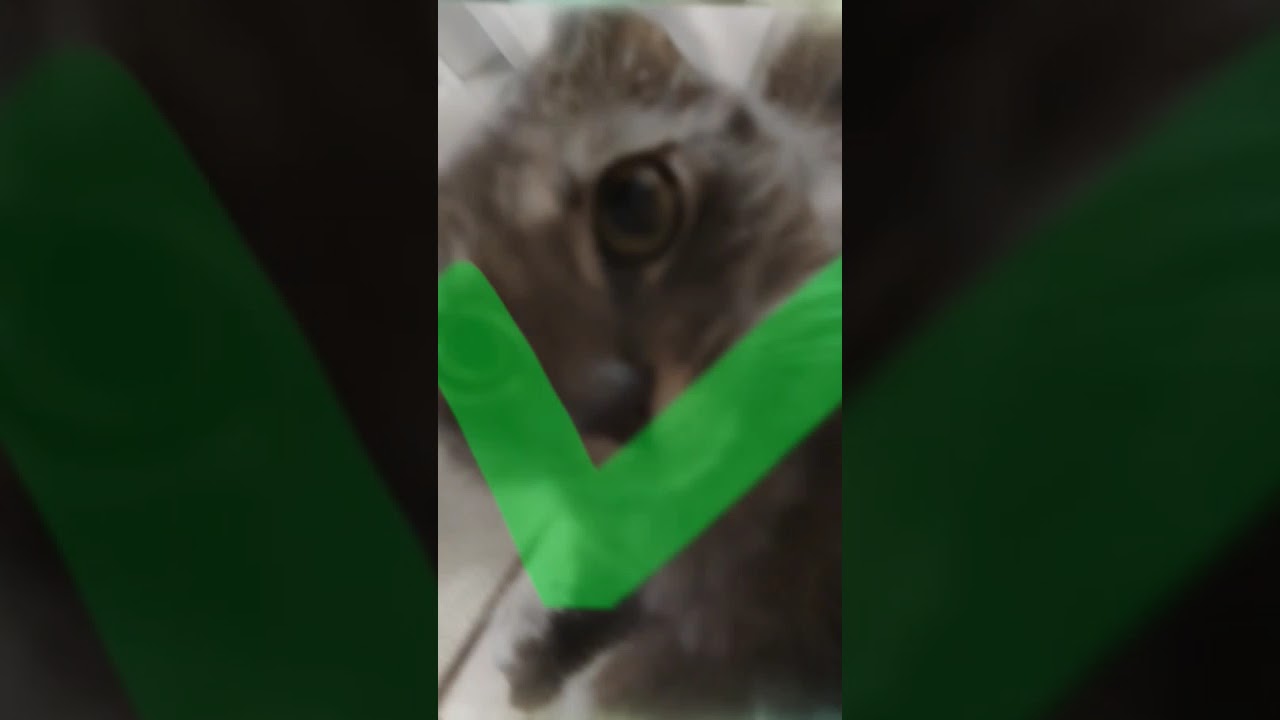 #edit