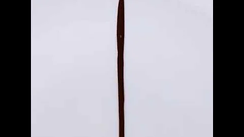 Plate it until you make it ;11 clever ways to present  food like pro!