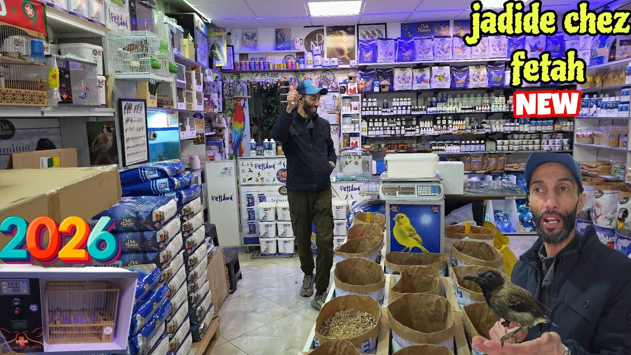 الجديد والجميل عند فتاح🔥أجيو نتولعو كل ما يحتاجه المربي من أكل أقفاص مكملات لوازم الطيور بجودة عالية