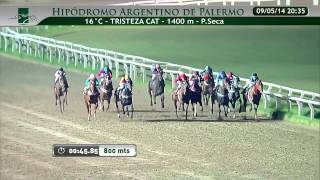20140509 16 palermo