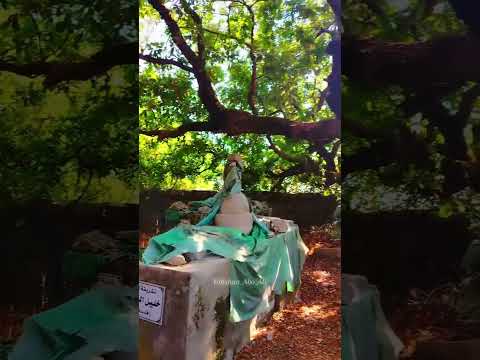 تشريفات الشيخ سلمان بيصين الشيخ معلا ربيع الشيخ خليل النميلي الخضر ع طرطوس بصيرة الجرد