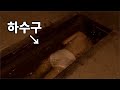 아이가 매일 더러운 하수구를 헤엄치는 이유 영화리뷰 결말포함 자막 아이가 매일 더러운 하수구를 헤엄치는 이유 영화리뷰 결말포함 자막