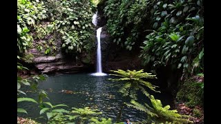 GUADELOUPE - Les cascades de Tambour - Petit-Bourg