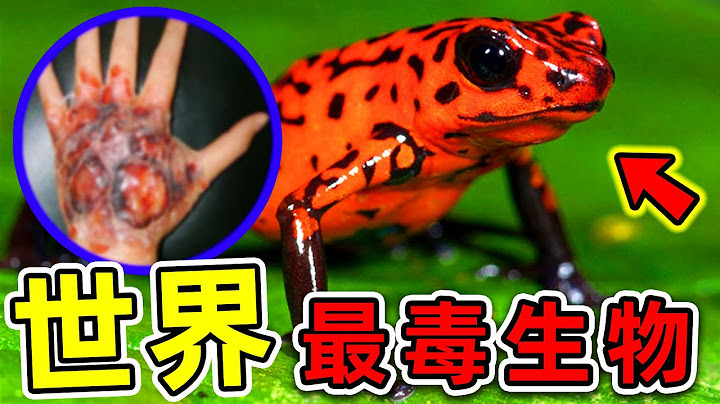 全世界最毒的10种生物！眼镜蛇排不进前十，第一名一口能杀1400人，比砒霜更强1000倍！|#世界之最top #世界之最 #出类拔萃 #脑洞大开 #top10 #最毒生物 - 天天要闻