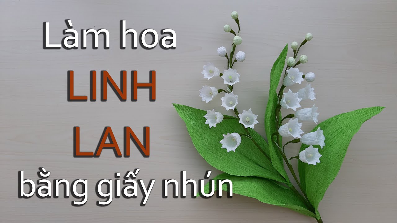 Mỗi người đều có thể tạo ra một mẫu hoa linh lan đẹp tuyệt vời bằng giấy nhún. Hãy xem những hình ảnh đẹp mắt về các mẫu hoa linh lan được làm bằng giấy nhún để khám phá thêm về kỹ thuật này.