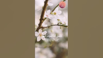 سورة المؤمنون آيه ١١٥-١١٦