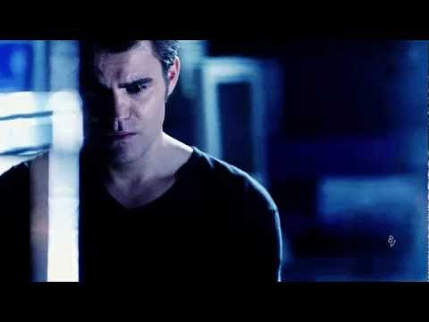 Damon, Stefan, Elena | Differences Of Love