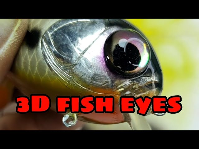 How to make 3D fish eyes out of a toy 