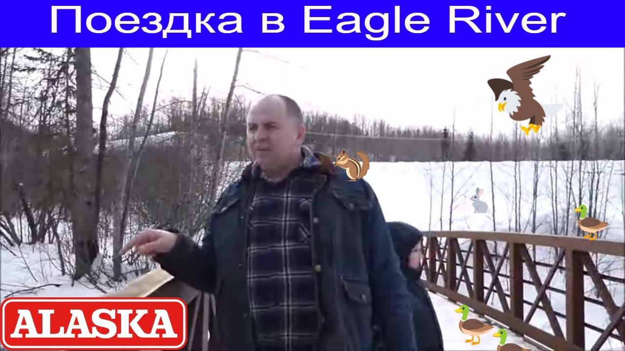 Аляска, Поездка в Eagle River в поисках уток.