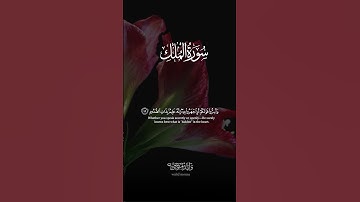 سورة ص أيات تلامس القلوب وتبعث السكينة والطمأنينة | Surah Sad Heartfelt Verses Bringing Serenity &