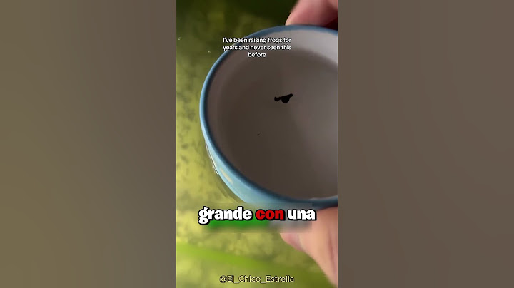 Este hombre HIZO un ejercicito de RANAS 😱🐸