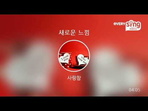 [everysing] 새로운 느낌