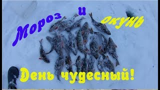 Мороз и Окунь , День чудесный!