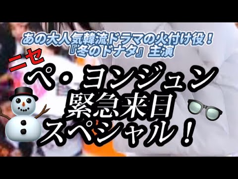 偽ヨン様緊急来日スペシャル‼️#shorts