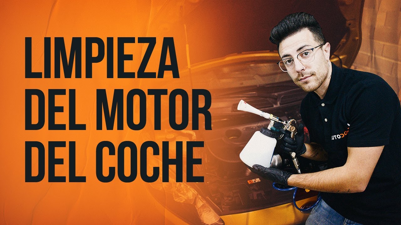 Limpieza básica del motor del coche ¡hazlo tú mismo! - Todos los