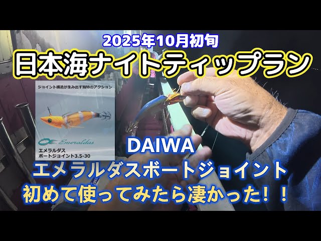 ダイワのジョイントエギを初めて使ってみたら意外と釣れたんでビックリ