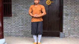 Shaolin Tai Chi: Rou Quan