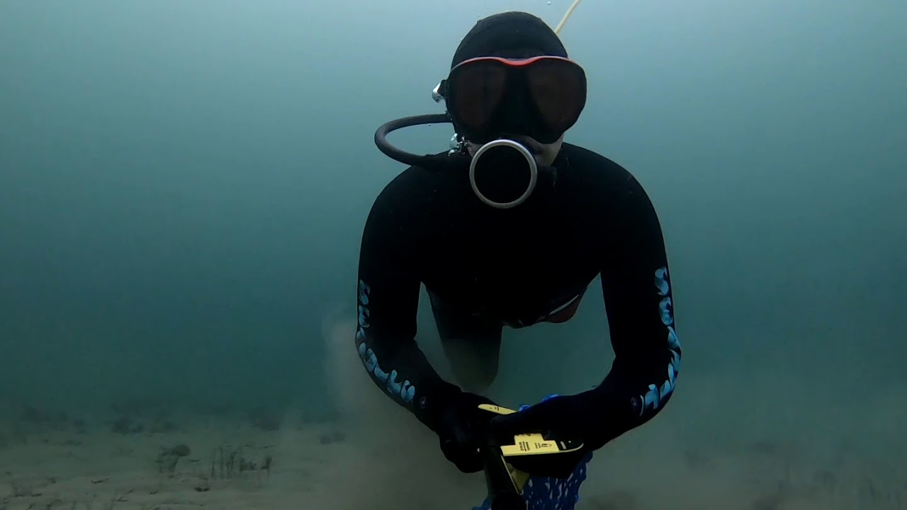 Scallop Diving Tasmania YouTube