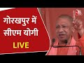 Cm yogi live in gorakhpur        live  up election 2022  hindi news