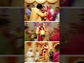 🤯 Viral Indian Weddings: The 5-Clip Secret REVEALED! 🇮🇳 #IndianWedding #ViralVideo #StockFootage