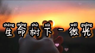 生命树下 🩷🩵「 微光」男女情歌合唱版『夜太长风太凉、我在寂静里数着过往、多少次想要遗忘、却被一束光温柔收藏』
