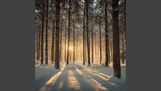Gentle Hush across hearing winter