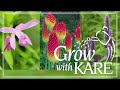 Grow with KARE: New year, new Zone - part 1