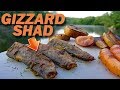 Catch and Cook Shad - EATING CATFISH BAIT!