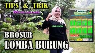 MEMAHAMI BROSUR LOMBA BURUNG KICAU || Untuk Pemula