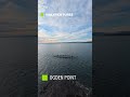 Ogden Point Waves, Sunset and Rowing [4K]