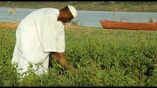 من اجمل الاغانى السودانية ابوى الغالى لئ تسلم بهاء الجنرال