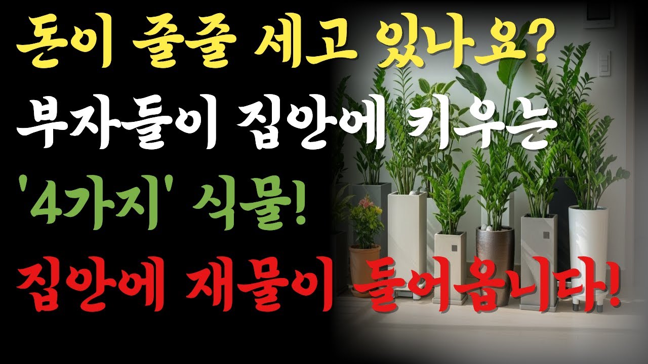 재물운을 부르는 식물 4가지 부자들이 꼭 키우는 이유