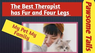 The Best Therapist Has Fur and Four Legs | The Cutest Cats and Kittens #meow #cute  #kittens by Animals and Pets  849 views 3 months ago 3 minutes, 17 seconds