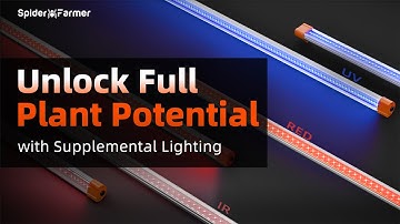 Unlock Full Plant Potential with UV, IR, and Deep Red Supplemental Grow Lights | Spider Farmer