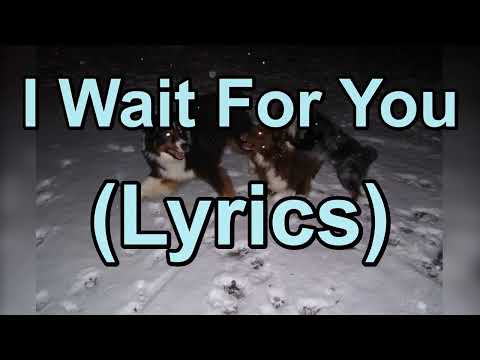 I Wait For You Lyrics